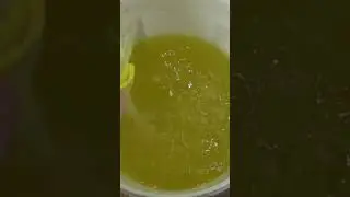 БРАГА ИЗ БАНАНОВГО СИРОПА
