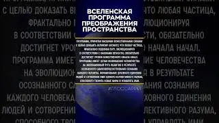 #Глоcсарий