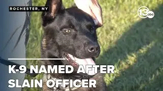 Police dog named after officer killed in line of duty