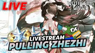 BACK FROM JAPAN! Zhezhi Pulls + NIKKE COLLAB THOUGHTS