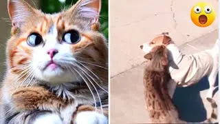 Funniest Animals 2023 