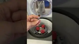 Что такое СПОРЫНЬЯ? 