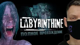 Labyrinthine I Полное прохождение в соло I стрим