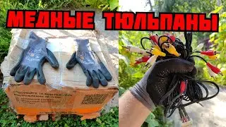 PLASTILIN. ОБРАТНО ПРИСЛАЛИ КУЧУ ХЛАМА! ПОИСК МЕДИ И МЕТАЛЛОЛОМА В ПОСЫЛКЕ. КАК ЗАРАБОТАТЬ ДЕНЬГИ
