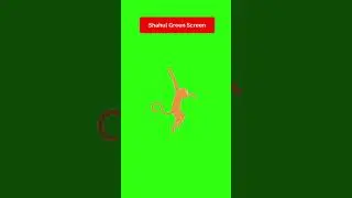Monkey Rope Walk GS #shortsfeed #monkey #shortsgreenscreen