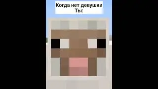 Когда у тебя нет девушки но ты... 🥵🥵🥵 | Майнкрафт | Minecraft PE [Юмор]
