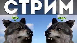 Дуо старт на офицалочке с 