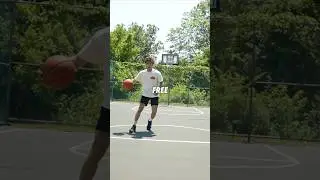 HOW TO TRAIN YOUR HANDLES WHILE IN SCHOOL