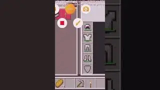 пожизненно #майнкрафт #minecraft #xrecorder #мем