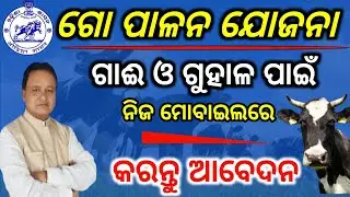 ଗାଈ ଓ ଗୁହାଳ ପାଇଁ ନିଜ ମୋବାଇଲରେ ଆବେଦନ/Mukhyamantri kamadhenu yojana online/Go palana online apply odia