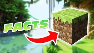 Top 10 Minecraft Block Facts You Don't know