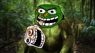 The 