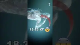 В ТВОЕМ ТЕЛЕ 20 КГ ФАСЦИИ (Гибкость и боль в спине)