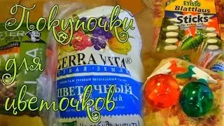 Покупки для растений из Леруа Мерлен и Ашан сад