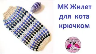 МК Вяжем крючком жилет для кота