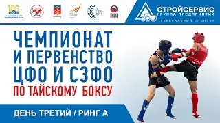 Чемпионат и первенство ЦФО и СЗФО по Тайскому боксу (Третий день. Ринг А.)