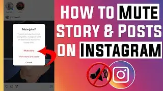 How to Mute Instagram Stories and Post (2021)