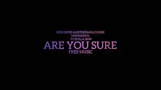 Kris Kross Amsterdam & Coner Maynard ft.Ty Dolla $ign - Are You Sure (Free Music)
