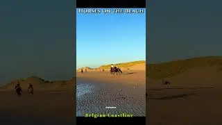 Horses running at the beach