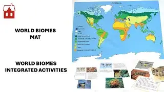 World Biome Integrated Activity