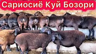 Сурхондаре Сариосиё Пайшанба Куй Бозори 