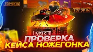 А ЭТОТ КЕЙС ХОРОШ! ПРОВЕРКА КЕЙСА НОЖЕГОНКА НА TOPSKIN! ПРОМОКОД +40% 4PROMO