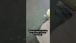 как выбрать лук
