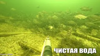 Подводная Охота в Волгограде 
