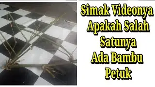 mirip dengan bambu petuk