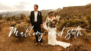 Cinematic Wedding Video | Snowy Joshua Tree Elopement Film | Panasonic GH5 & Phantom 4