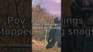 Pov: if bunnings stopped doing snags