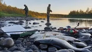 Ловим сига на маленькую вертушку! Якутия Yakutia