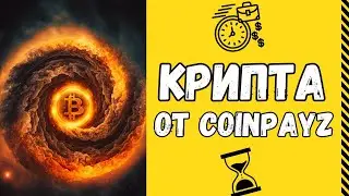 Вывод криптовалюты с coinpayz