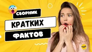 Краткие факты: сборник 2. Буш и портрет Путина, куклы Деппа, сложный Брюс Уиллис и другие факты.