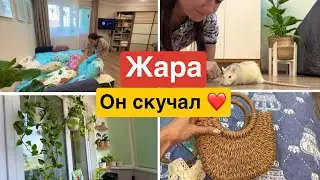 МЫ ДОМА ❤️ УБОРКА / ОРГАНИЗАЦИЯ и ХРАНЕНИЕ / Новости.