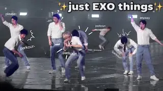 what happens when you put 8 EXO members on one stage