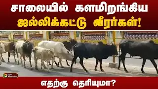 சாலையில் களமிறங்கியஜல்லிக்கட்டு வீரர்கள்!எதற்கு தெரியுமா? | Madurai | PTT