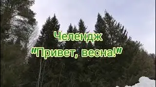 Челендж 