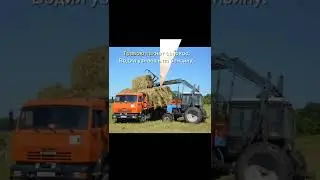 О запахах #поэзия21века  #юмор #стихи #поэзия