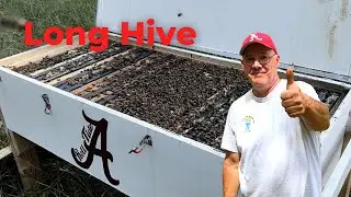 💥A Good Story in a Tough Year of Beekeeping