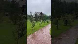 Тихая охота | Грибные поляны, уходящие за горизонт #тепловизор #nighthunter #охотник #охота