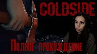 Идем своей дорогой сталкеры ColdSide ПОЛНОЕ прохождение (истинная + альтернативная концовки)