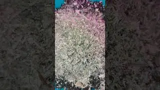 КАК ГОТОВЛЮ ГРУНТ ДЛЯ СВОИХ ЦВЕТОВ🌺