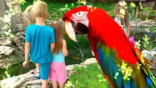 Настя и Папа играют в парке