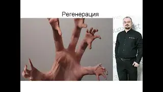 Регенерация