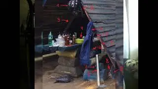И опять этот чёртов шалаш!  Дело Влада Бахова.