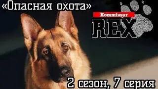 Комиссар Рекс, 2 сезон, 7 серия, «Опасная охота»