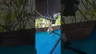 полив по таймеру
