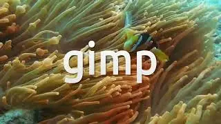 How to install Gimp on Debian 11