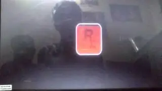 Max Payne 3 social club bug fix pls help